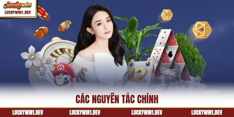 Các nguyên tắc chính